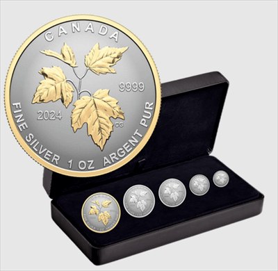 2024 Silver Maple Leaf Canadas Autumn Beauty - 5 pc set - Reverse Proof Fractional Set